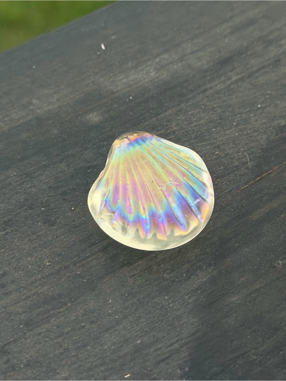 Small Iridescent Glass Shell - Picture 4 of 8